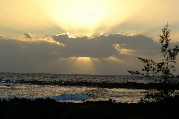 Picture Of Sunburst At Poipu - Hawaiipictures.com Picture Of Sunburst At Poipu - Hawaiipictures.com