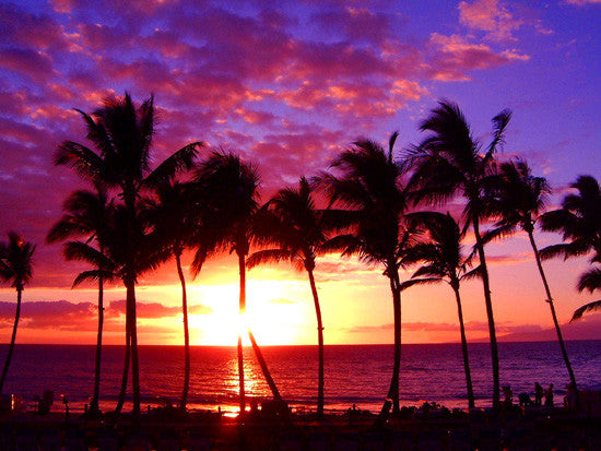 Maui Sunset Picture - Hawaiipictures.com Maui Sunset Picture - Hawaiipictures.com