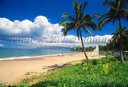 Wailea Beach, Maui, Hawaii Picture Photo - Hawaiipictures.com