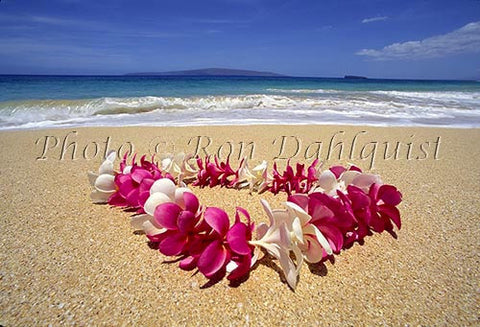 Plumeria lei on beach, Maui, Hawaii - Hawaiipictures.com