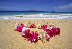 Plumeria lei on beach, Maui, Hawaii