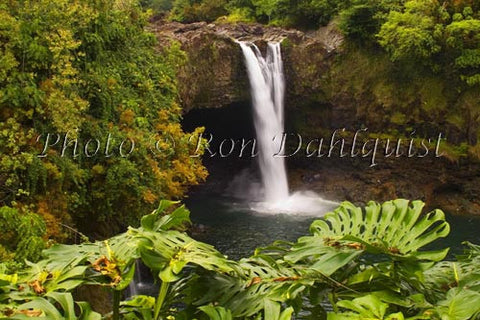 Rainbow Falls, Hilo, Big Island of Hawaii Photo - Hawaiipictures.com