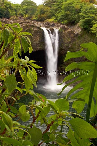 Rainbow Falls, Hilo, Big Island of Hawaii Picture Photo - Hawaiipictures.com