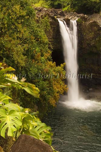 Rainbow Falls, Hilo, Big Island of Hawaii - Hawaiipictures.com