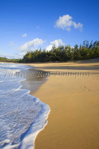 The surf rolls in at Baldwin Beach, north shore of Maui, Hawaii Photo - Hawaiipictures.com