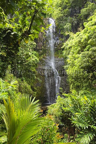 Wailua Falls in tropical setting, Hana, Maui, Hawaii - Hawaiipictures.com