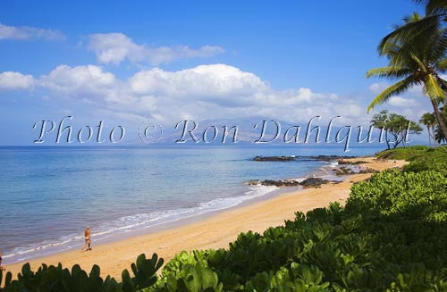 Mokapu Beach, Wailea, Maui, Hawaii Picture Photo Stock Photo - Hawaiipictures.com