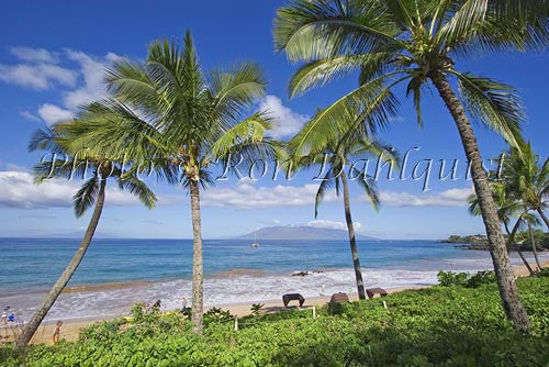 Palm trees and Wailea Beach, Maui, Hawaii - Hawaiipictures.com