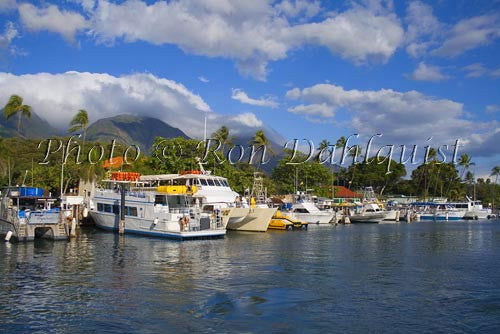 Lahaina Harbor, Maui, Hawaii - Hawaiipictures.com