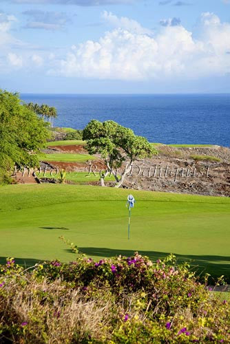 Woman golfing on The Challenge at Manele Golf Course, Lanai MR Picture Stock Photo - Hawaiipictures.com