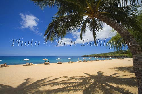 Palm trees on beautiful Hulopoe Beach at Manele Bay, Lanai, Hawaii - Hawaiipictures.com