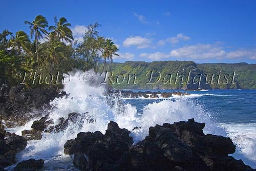 Waves breaking at Keanae peninsula, north shore of Maui, Hawaii - Hawaiipictures.com Waves breaking at Keanae peninsula, north shore of Maui, Hawaii - Hawaiipictures.com