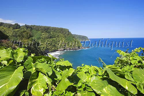 Hanamanu Bay, road to Hana, Maui, Hawaii - Hawaiipictures.com