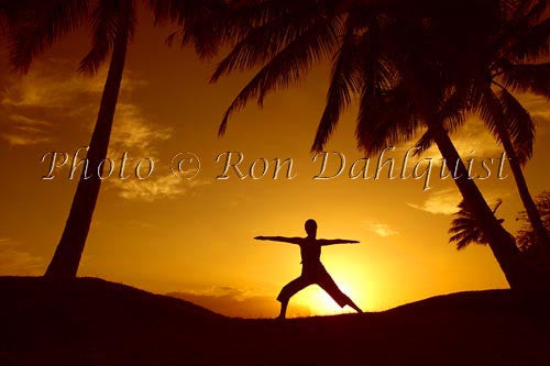 Silhouette of yoga postures at sunset with palm trees, Maui, Hawaii - Hawaiipictures.com Silhouette of yoga postures at sunset with palm trees, Maui, Hawaii - Hawaiipictures.com
