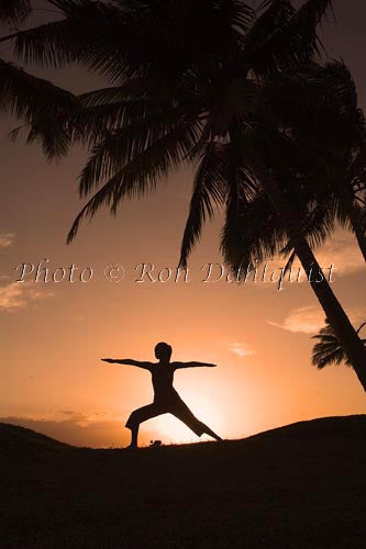 Silhouette of yoga postures at sunset with palm trees, Maui, Hawaii Picture Photo - Hawaiipictures.com