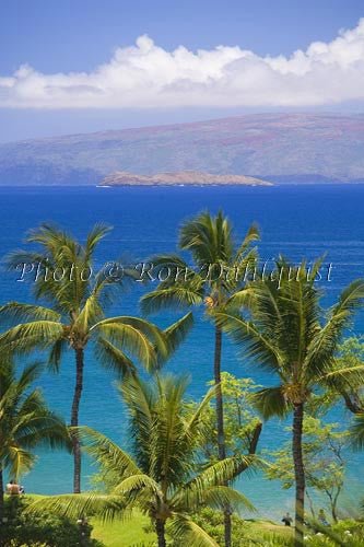 Palm trees frame view of Molokini and Kahoolawe, Wailea, Maui, Hawaii Picture - Hawaiipictures.com