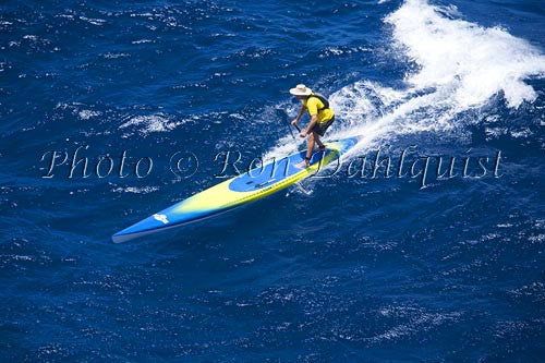 Stand-up paddle board race, Maui, Hawaii - Hawaiipictures.com