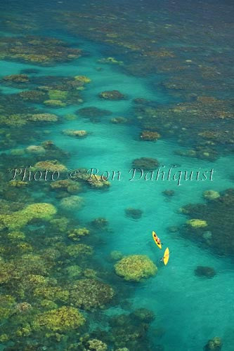 Aerial view of kayakers in the turquoise water and coral off of Olowalu, Maui, Hawaii Picture Photo - Hawaiipictures.com