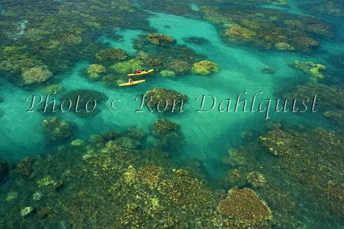 Aerial view of kayakers in the turquoise water and coral off of Olowalu, Maui, Hawaii Picture Photo Stock Photo - Hawaiipictures.com