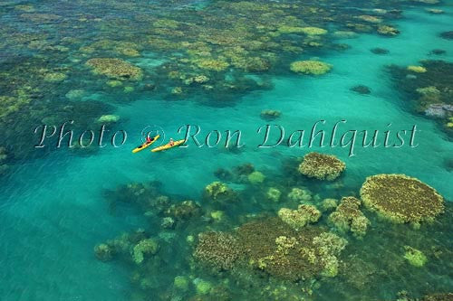 Aerial view of kayakers in the turquoise water and coral off of Olowalu, Maui, Hawaii Picture Stock Photo - Hawaiipictures.com