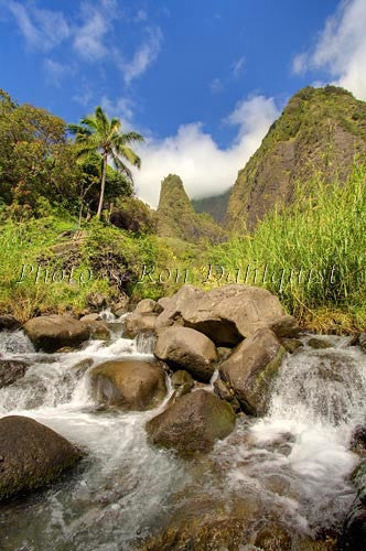 Iao Needle at Iao Valley State Park, Maui, Hawaii Picture - Hawaiipictures.com