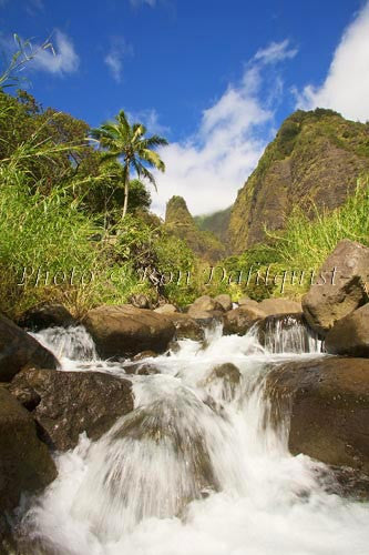 Iao Needle at Iao Valley State Park, Maui, Hawaii - Hawaiipictures.com