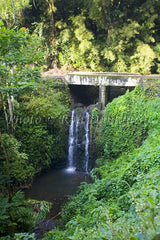 Waterfall and old bridge on the road to Hana. Maui, Hawaii
