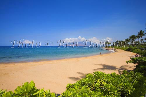 Mokapu Beach, Wailea, Maui, Hawaii Picture Photo - Hawaiipictures.com