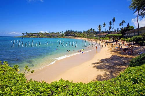 Napili Beach and Bay, Maui, Hawaii Photo - Hawaiipictures.com