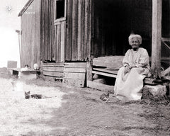 Picture Of Tutu And Her Cats