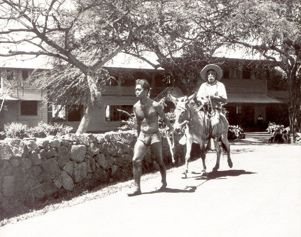 Men And Kona Nightingale Donkey - Vintage - Hawaiipictures.com