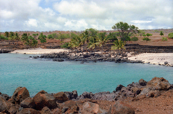 Kona Coast Shoreline - Hawaiipictures.com