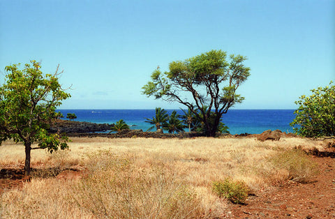 Dry Side Of Big Island - Hawaiipictures.com