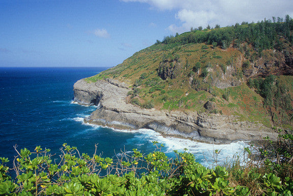 View From Kilauea Lighthouse - Hawaiipictures.com