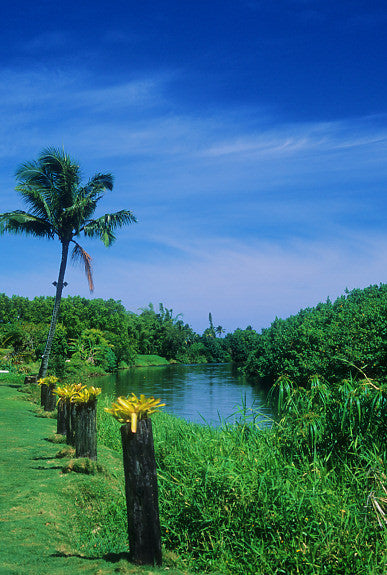 Hanalei River - Hawaiipictures.com