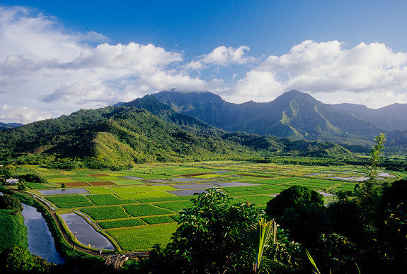 Hanalei Valley Lookout - Hawaiipictures.com