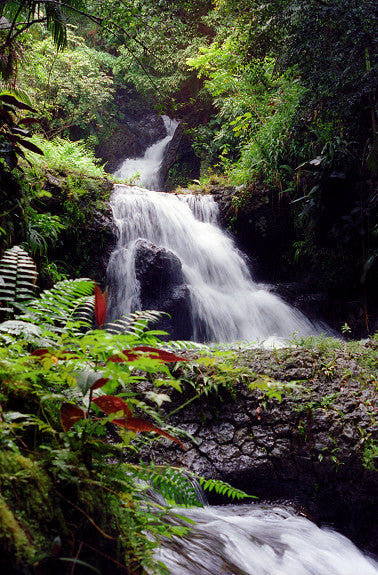 Big Island Waterfall - Hawaiipictures.com