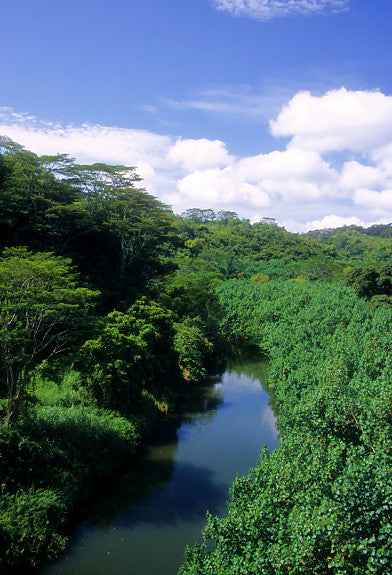 Kalihiwai River - Hawaiipictures.com