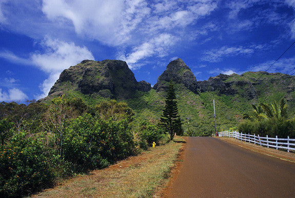 Kauai Country Road - Hawaiipictures.com