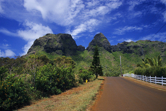 Kauai Country Road - Hawaiipictures.com Kauai Country Road - Hawaiipictures.com