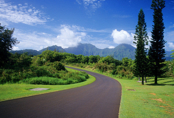 Kauai Road - Hawaiipictures.com
