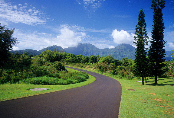Kauai Road - Hawaiipictures.com Kauai Road - Hawaiipictures.com