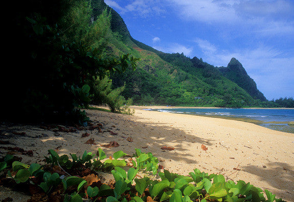 Tropical Tunnels Beach - Hawaiipictures.com