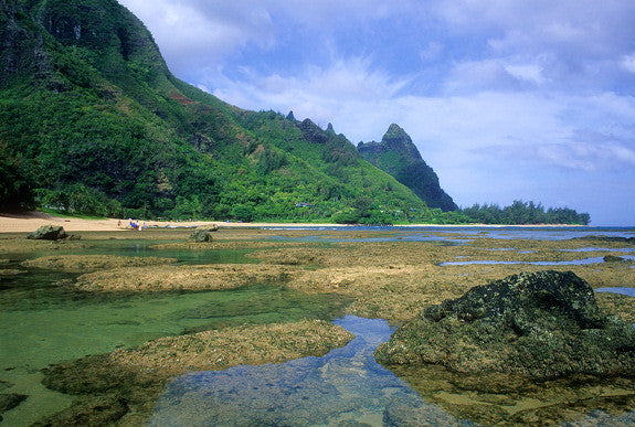 Tunnel Beach Low Tide Picture - Hawaiipictures.com