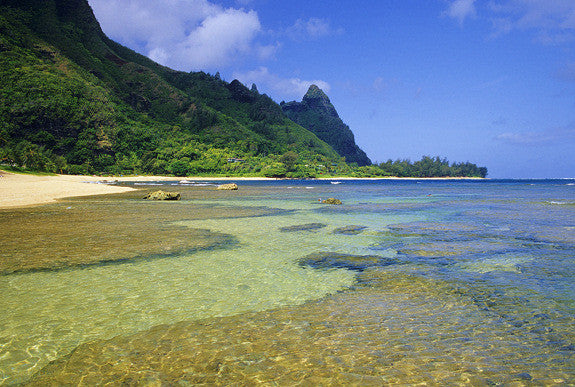 Tropical Tunnels Beach - Hawaiipictures.com