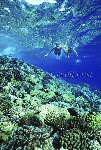 Couple snorkeling at Molokini, Maui, Hawaii - Hawaiipictures.com