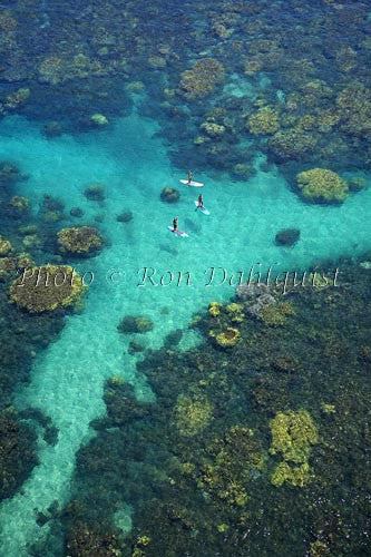 Stand-up paddle boarding on the West shore of Maui, Hawaii Photo Print - Hawaiipictures.com