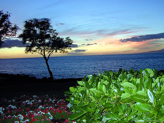 Maui Sunset Picture - Hawaiipictures.com Maui Sunset Picture - Hawaiipictures.com