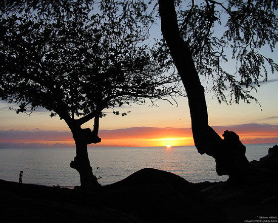 Spencer Beach Picture - Hawaiipictures.com