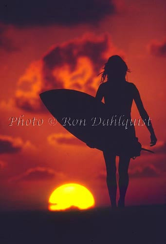 Silhouette of surfer girl at sunset, Maui, Hawaii - Hawaiipictures.com